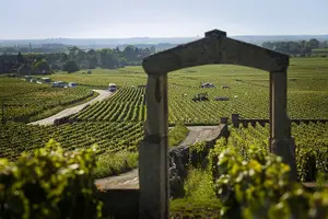 Tour image of Small Group Wine Tasting Tour Côte de Beaune and Côte de Nuits