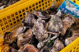 Tour image of Arcachon Bay Full Day Trip from Bordeaux with lunch and Pyla Dune