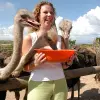 Image of Natural Attractions