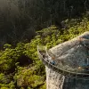 Image of Nature Walks