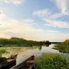 Image of Airboat Tours