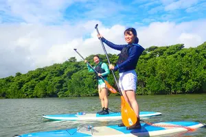 Tour image of Ishigaki Mangrove SUP or Canoeing and Phantom Island Snorkeling