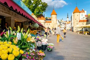 Tour image of Tallinn Highlights and Marzipan Painting Masterclass