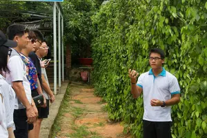 Tour image of Phu Quoc Discover South And North Together_Private tour
