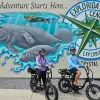 Image of Bike Rentals