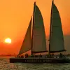 Image of Catamaran Cruises