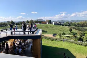 Tour image of Chiang Rai