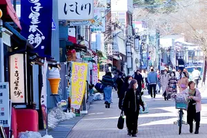 Tour image of Karuizawa Food Walking Tour in Nagano