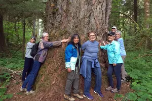 Tour image of The Mt St Helens Adventure Tour from Portland