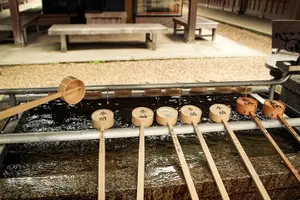 Tour image of Nara Private Customizable Full Day Tour