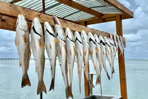 Tour image of Private Bay Fishing South Padre Island