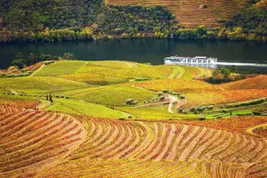 Tour image of Private Tour in Douro