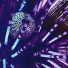 Image of Snorkeling