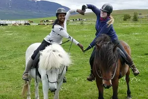 Tour image of Family Friendly Horse Riding Tour in Skagafjörður