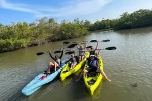 Tour image of Guided Hobie Kayak EcoTour: Premium Eco Experience Bonita Springs