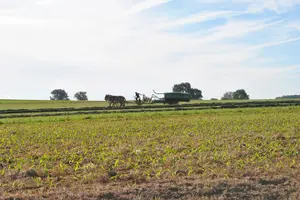 Tour image of Amish Farmlands Tour