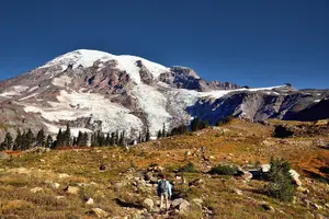 Tour image of Best of Mount Rainier National Park from Seattle: All-Inclusive Small-Group Tour
