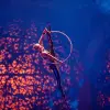Image of Cirque du Soleil Shows