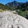 Image of Hiking Tours