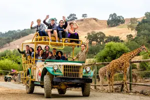 Tour image of Classic Safari Adventure at Safari West