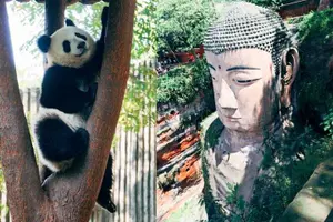 Tour image of Leshan Giant Buddha Day Tour