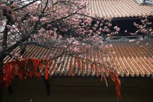 Tour image of Chongqing private luxury city tour: Must-sees All in One