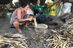Tour image of Explore local livelihood & countryside (Half-Day Cycling Tour)