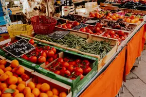 Tour image of Customizable Trip to Discover the Richness of Provence in One Day