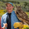 Image of Wildlife Encounters