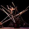 Image of Circus Shows