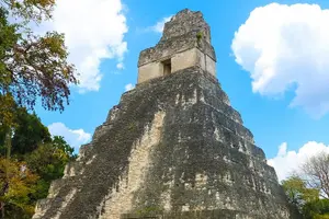 Tour image of Private Tikal Mayan City Tour with Lunch