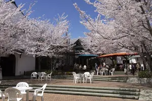 Tour image of Nagano Sake Tasting Walking Tour