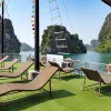 Image of Stand Up Paddleboarding