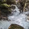 Image of Nature and Wildlife Tours