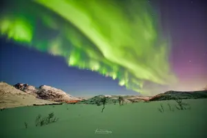 Tour image of Minivan Northern Lights excursion (8 guests per minivan)