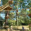 Image of Obstacle Courses
