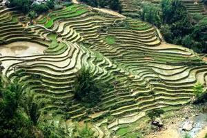 Tour image of Sapa 1 Day Trekking