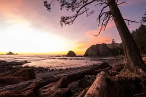 Tour image of Olympic National Park Self-Guided Audio Tour