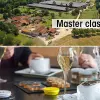 Image of Food Tours