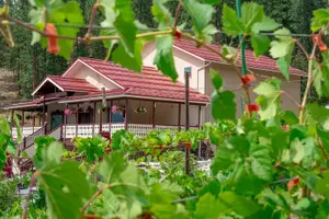 Tour image of Private Wine Tasting in the American Alps