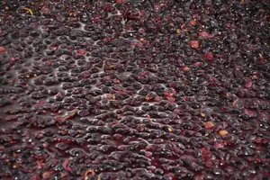 Tour image of Private Full Day Tour Burgundy Gourmet