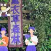 Image of Nature Walks
