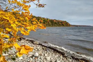 Tour image of Autumn in Acadia National Park Private Leaf Peeper Driving Tour