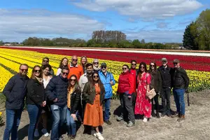 Tour image of Amsterdam: Tulip Fields Day Tour with Lunch and a Windmill Visit