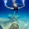 Image of Scuba Diving