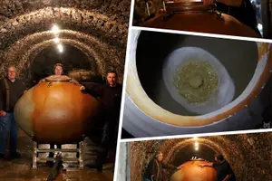 Tour image of A unique sensory experience in the vineyards