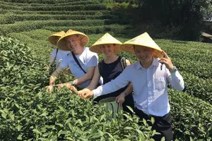 Tour image of Authentic Hangzhou Longjing Tea Culture Experience Tour