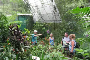Tour image of Guided Butterfly Conservatory Tour in Costa Rica