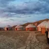 Image of Safaris