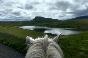 Tour image of Horse Riding Tour to the Glacier River Delta with Waterfall